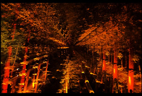 Felsenmeer in Flammen